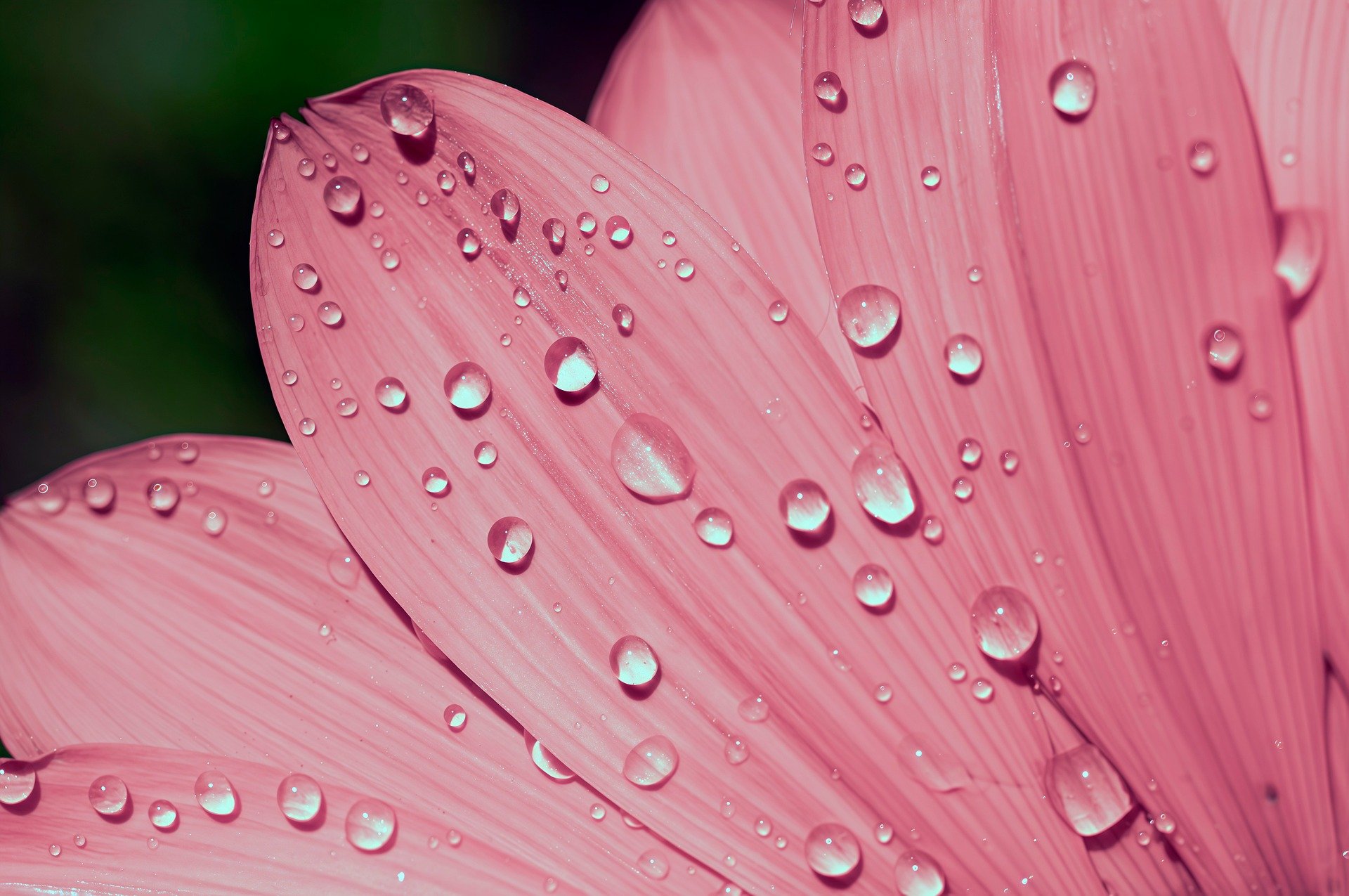 计网单元实验三